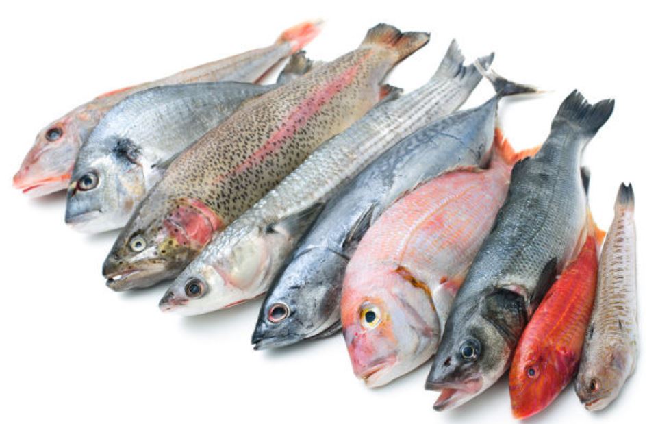 Y luego dicen que el pescao va caro